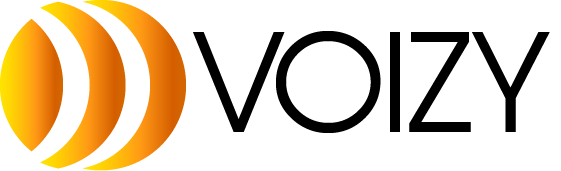 Voizy Logo